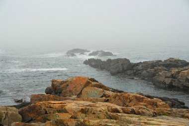 Rocky coast in Maine clipart