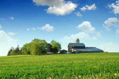 Farmhouse and barn clipart