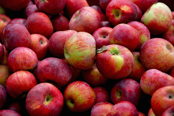 Fondo de manzanas —  Fotos de Stock