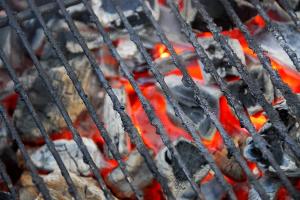 Barbecue raster — Stockfoto