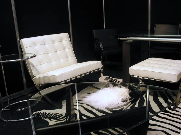 Siyah beyaz oturma odası — Stok fotoğraf
