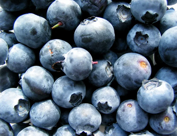 stock image Blueberries macro