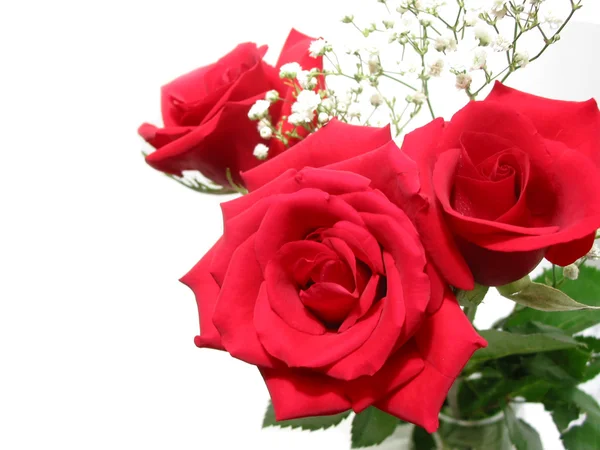 Rose bouquet on white — Stock Photo, Image