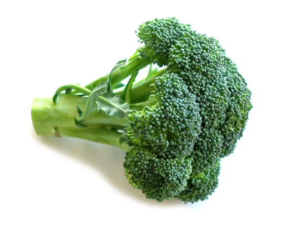 Brokolice izolovaná na bílém — Stock fotografie