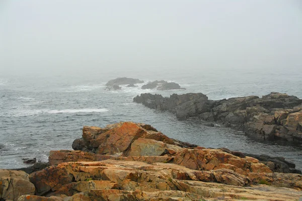 Côte rocheuse dans le Maine — Photo