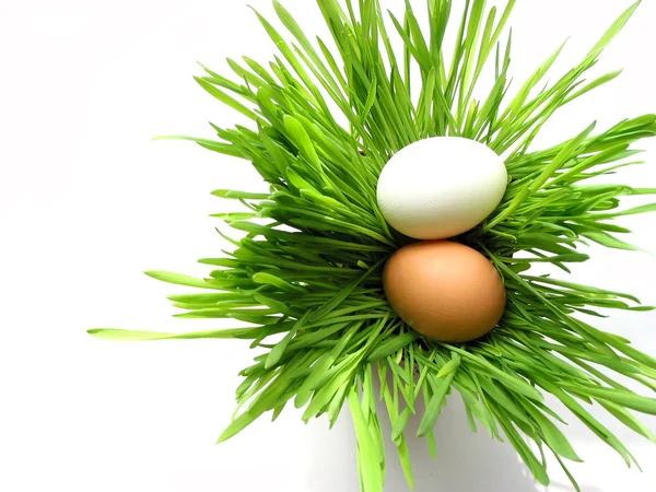 Пасхальные яйца на белой траве — стоковое фото