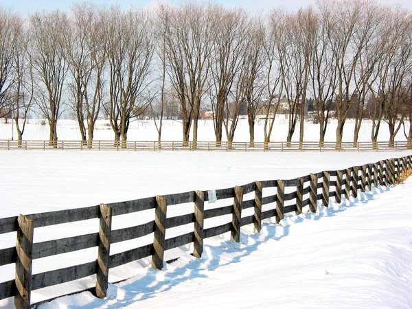 Farm fence and trees 1 — Stock Photo, Image