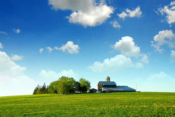 Çiftlik ve ahır — Stok fotoğraf