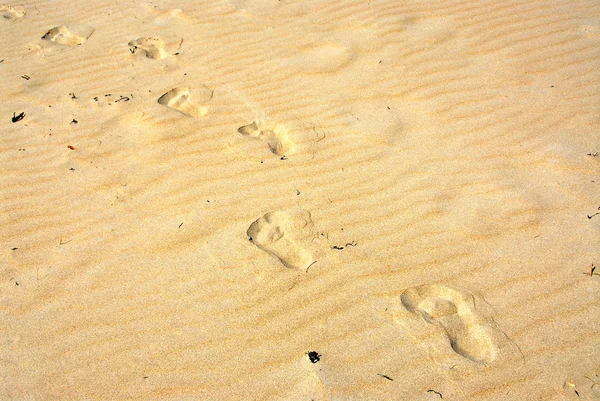 Sandabdrücke — Stockfoto