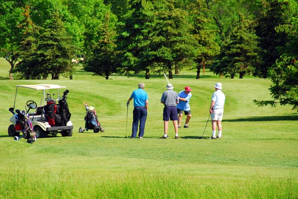 Seniors golfing — Stock Photo, Image