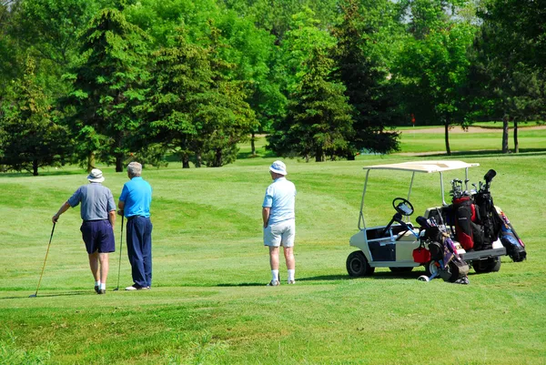 Seniorzy, gra w golfa — Zdjęcie stockowe