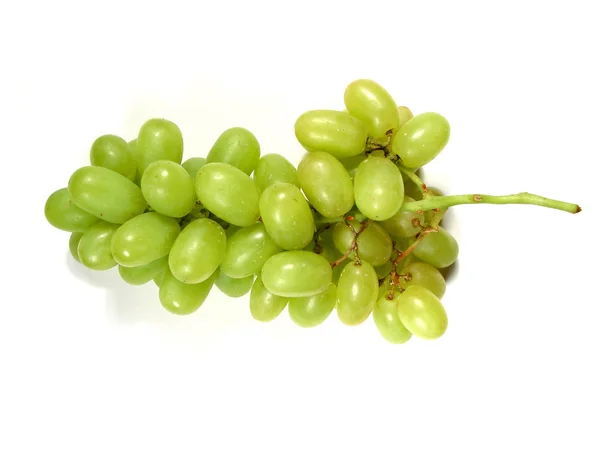 Зелений виноград букет — стокове фото