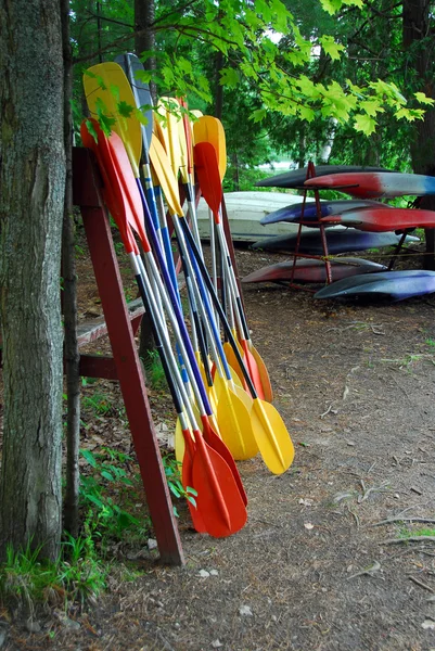 皮划艇桨 — 图库照片