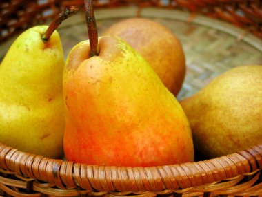 Pears in a basket clipart