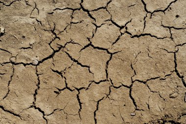 Dry soil background clipart