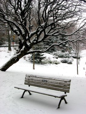 Winter bench 1 clipart