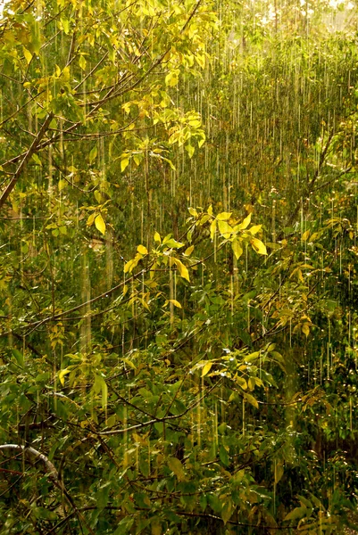 Pioggia e sole — Foto Stock