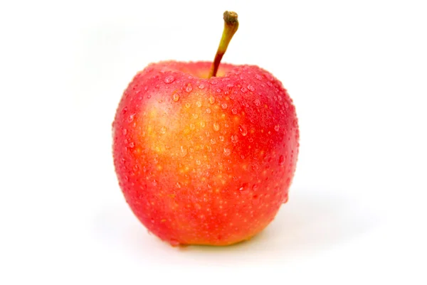 Rött äpple — Stockfoto