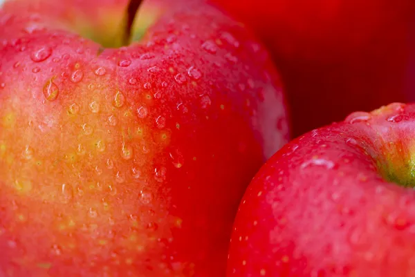 Rode appels macro — Stockfoto