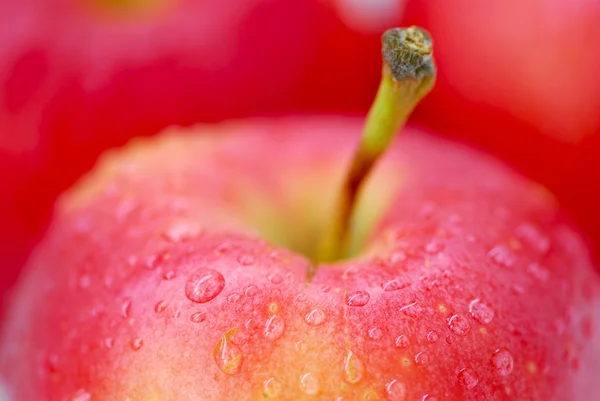 Червоні яблука макросу — стокове фото