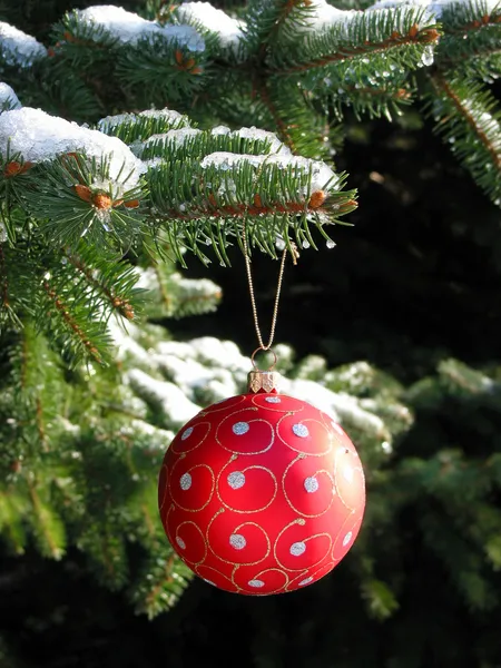 Красный рождественский шар на елке — стоковое фото