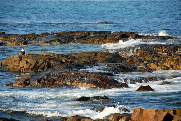 Rochers dans l'océan — Photo