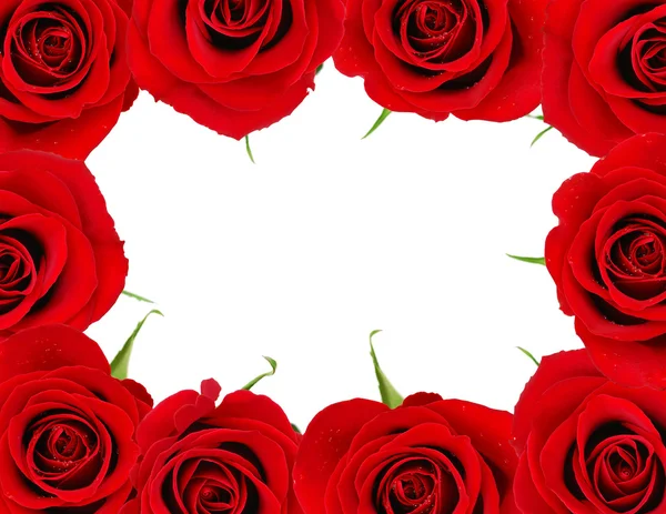 Red rose frame — Stock Photo, Image