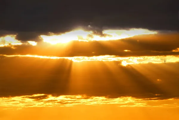Солнечные лучи — стоковое фото
