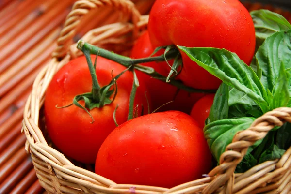 トマトとバジル — ストック写真