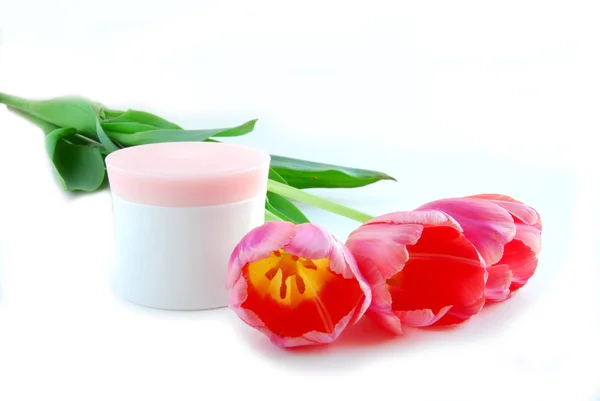 Tulipes et crème — Photo