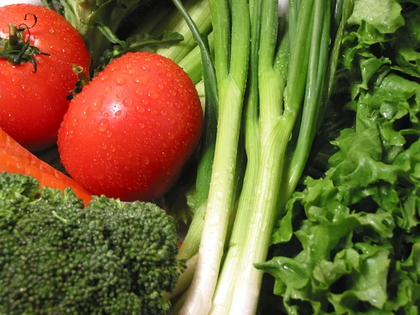 Verduras frescas húmedas — Foto de Stock