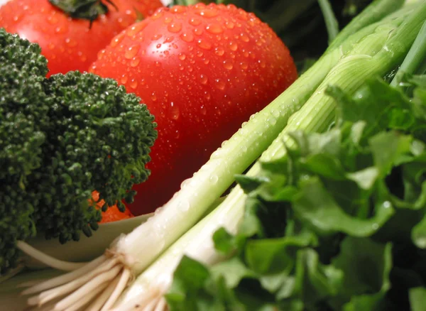 Verduras frescas húmedas — Foto de Stock