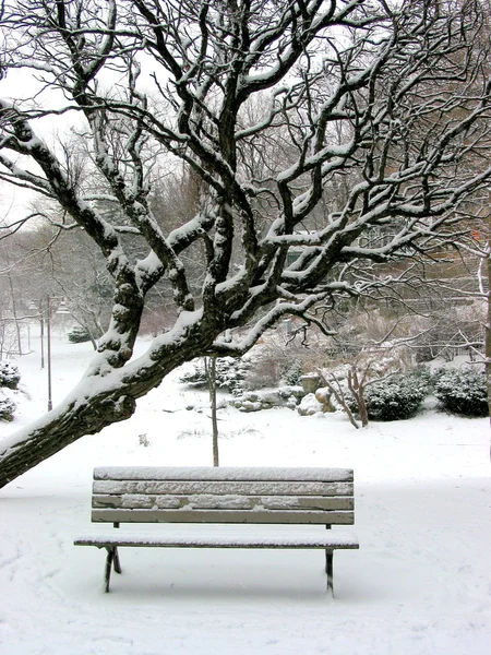 Winter ławka — Zdjęcie stockowe