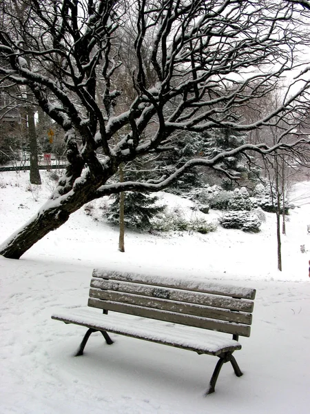 Winter bench 1 — Stock Photo, Image