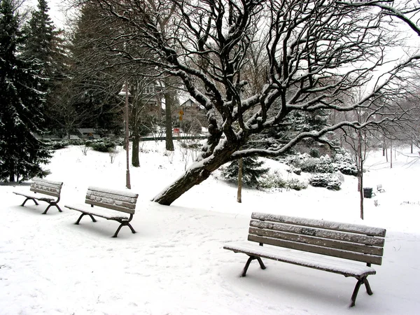 Zima ławki — Zdjęcie stockowe