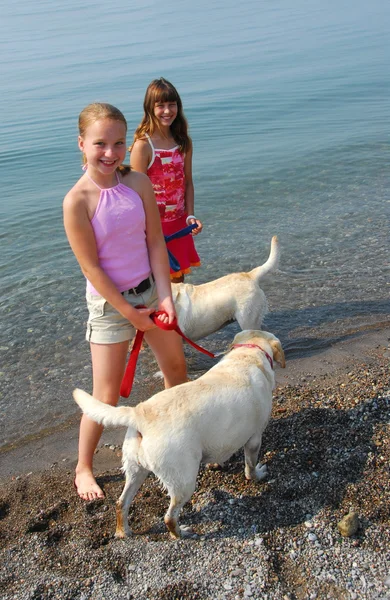 犬と遊ぶ 2 人の女の子 — ストック写真