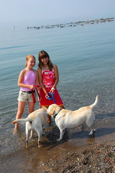 Två flickor leker med hundar — Stockfoto