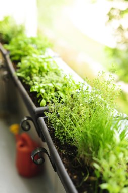 Balcony herb garden clipart