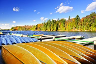 Canoe rental on autumn lake clipart
