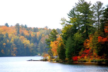 Autumn lake clipart