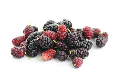 Fresh mulberries clipart