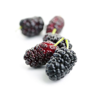 Mulberries close up clipart