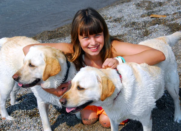 Girl two dogs — Stock Photo, Image