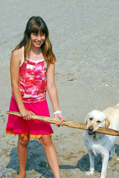 Chica jugar perro — Foto de Stock