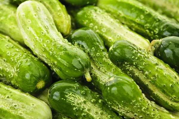 Cucumbers background — Stock Photo, Image