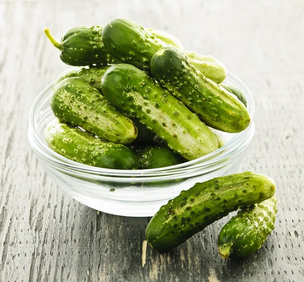 Kleine komkommers in kom — Stockfoto