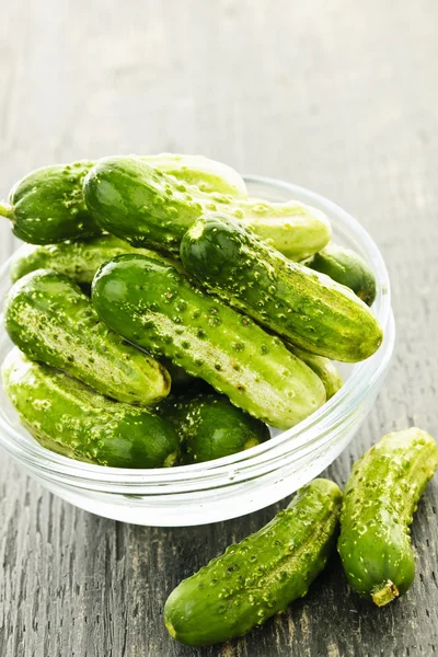 Small cucumbers in bowl — Stock Photo, Image