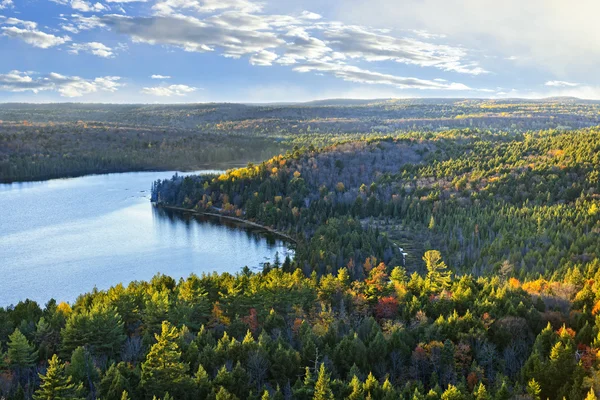 Hösten skogen och sjön ovanifrån — Stockfoto