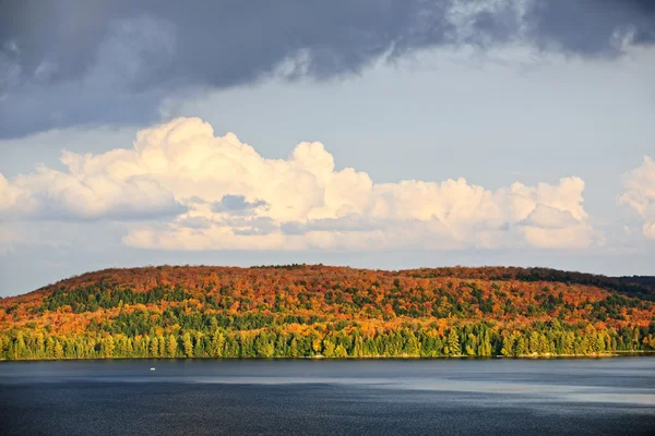 Fall forest and lake — Stock Photo, Image
