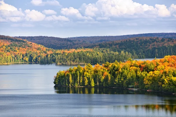 Осенний лес и озеро — стоковое фото